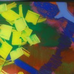 DSCF2641